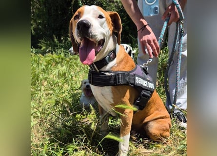 Gregorio - junger dynamischer Wirbelwind