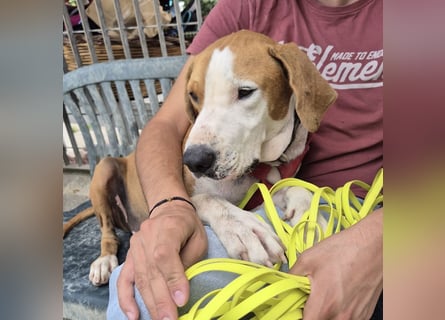 Gregorio - junger dynamischer Wirbelwind