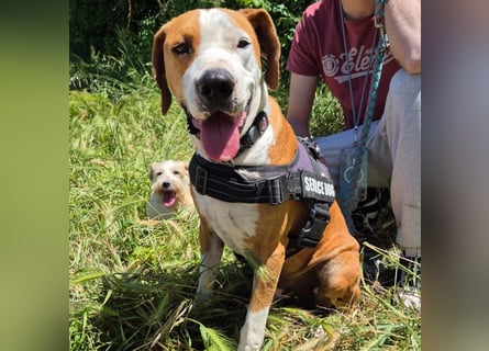 Gregorio - junger dynamischer Wirbelwind