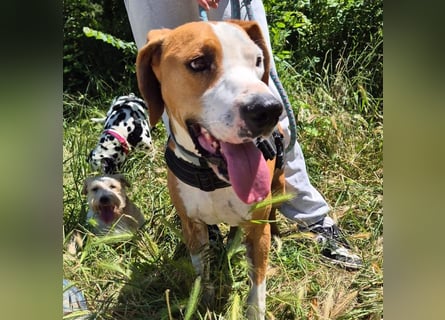 Gregorio - junger dynamischer Wirbelwind