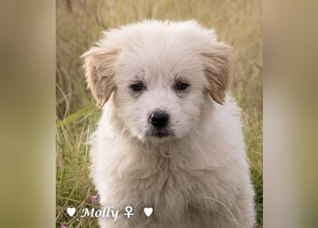 Minnie und Mollie suchen ein Zuhause