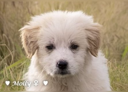 Minnie und Mollie suchen ein Zuhause