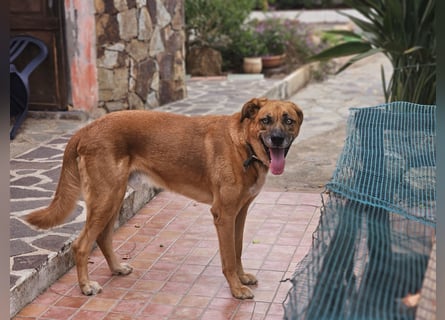 Billy - ein Leben auf der Terrasse