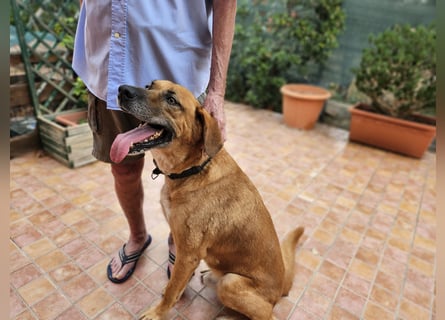 Billy - ein Leben auf der Terrasse