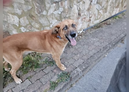 Billy - ein Leben auf der Terrasse
