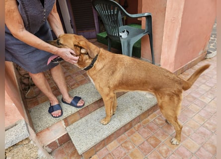 Billy - ein Leben auf der Terrasse
