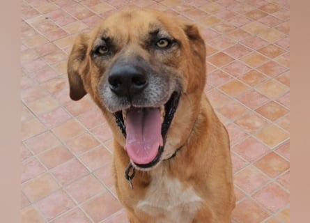 Billy - ein Leben auf der Terrasse