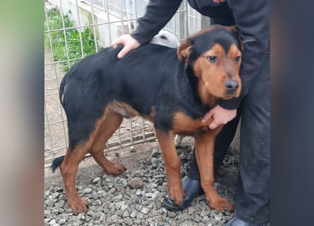 Bertone: trotz allem: er liebt Menschen über alles