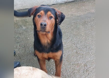 Bertone: trotz allem: er liebt Menschen über alles