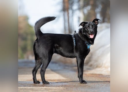 FIETE ist klug, freundlich und mutig!