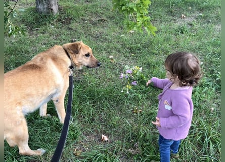 Elli sucht ihr Herzenszuhause