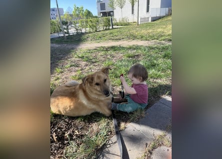 Elli sucht ihr Herzenszuhause