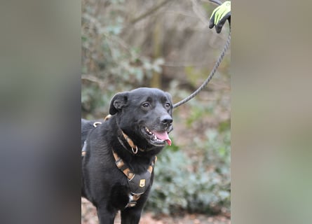 FIETE ist klug, freundlich und mutig!