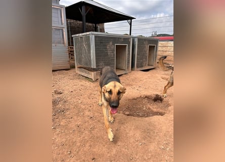 Wer holt Oria zu sich nach Hause?