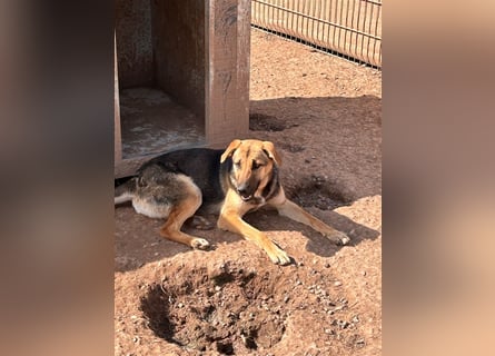 Wer holt Oria zu sich nach Hause?