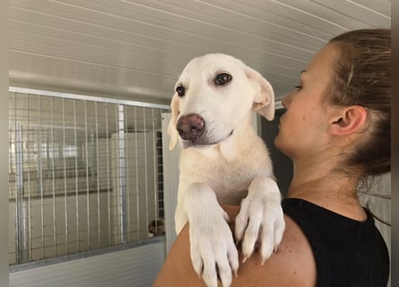 Lex: optisch und charakterlich eine Eins