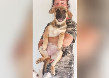 Helen: einfach nur lieb und unkompliziert