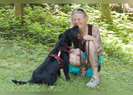 Feliciti - liebevoll und treu - Tierhilfe Franken e.V.