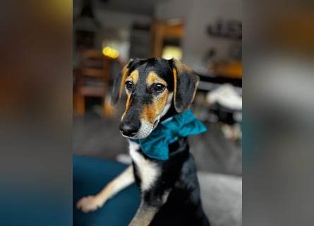 Ginevra: Ein Schatz wie aus dem Bilderbuch