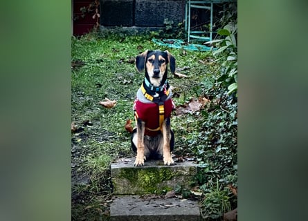 Ginevra: Ein Schatz wie aus dem Bilderbuch