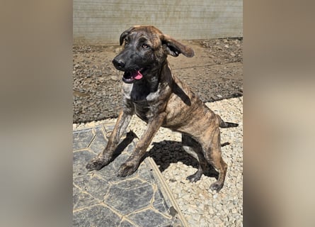 Esedra: bereit für ihre eigene Familie