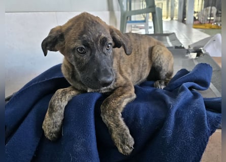 Esedra: bereit für ihre eigene Familie