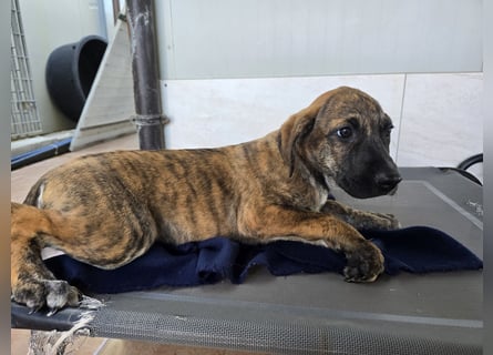 Ethan: bereit für seine eigene Familie