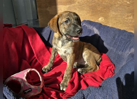 Ethan: bereit für seine eigene Familie