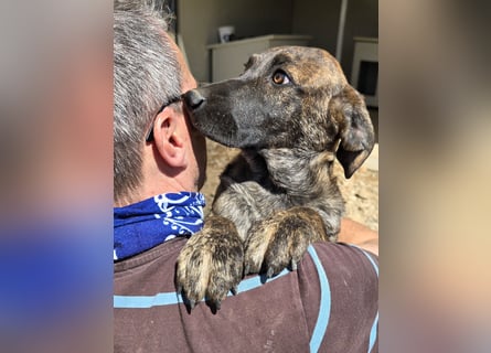 Esedra: bereit für ihre eigene Familie