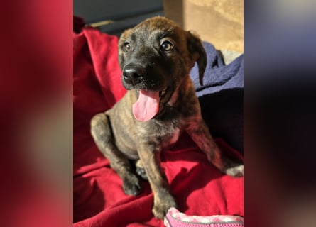 Esedra: bereit für ihre eigene Familie