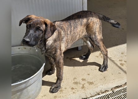 Esedra: bereit für ihre eigene Familie