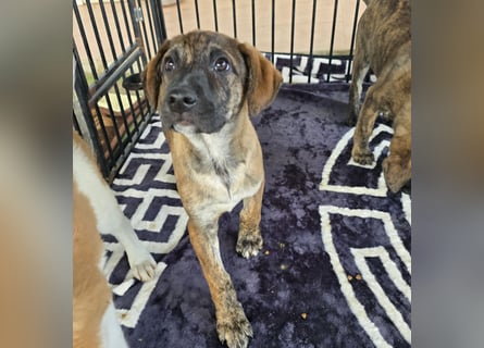 Ethan: bereit für seine eigene Familie