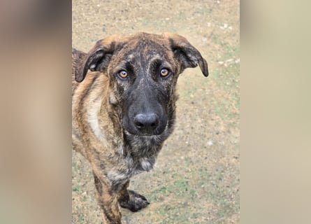 Esedra: bereit für ihre eigene Familie