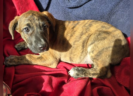 Ethan: bereit für seine eigene Familie