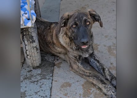 Esedra: bereit für ihre eigene Familie