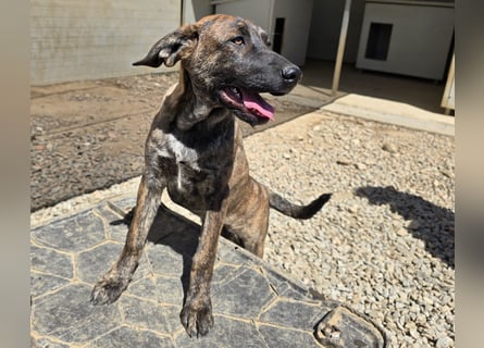 Esedra: bereit für ihre eigene Familie