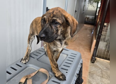 Ethan: bereit für seine eigene Familie