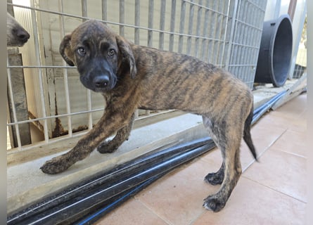 Esedra: bereit für ihre eigene Familie