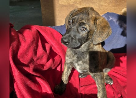 Esedra: bereit für ihre eigene Familie