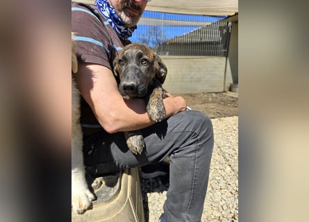 Esedra: bereit für ihre eigene Familie