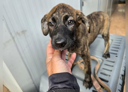 Esedra: bereit für ihre eigene Familie