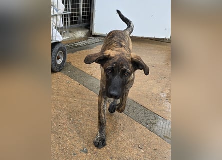 Esedra: bereit für ihre eigene Familie