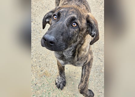 Esedra: bereit für ihre eigene Familie