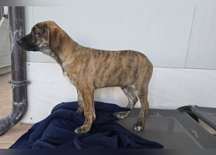 Ethan: bereit für seine eigene Familie