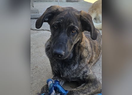 Esedra: bereit für ihre eigene Familie