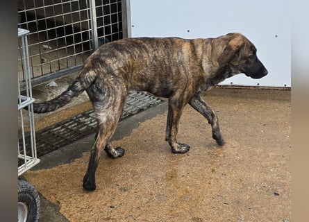 Esedra: bereit für ihre eigene Familie