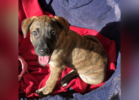 Ethan: bereit für seine eigene Familie