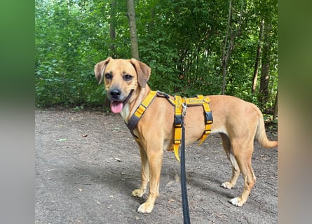 Jasmine: sozial, verschmust, unkompliziert