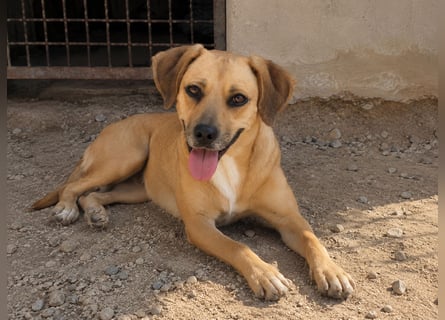 Jasmine: ein Schatz für die ganze Familie