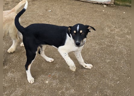 Argo: ein Schatz für die ganze Familie